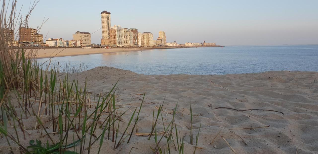 Appartement Havenzicht, Gelegen Aan Zee Met Zeezicht فليسينْخين المظهر الخارجي الصورة
