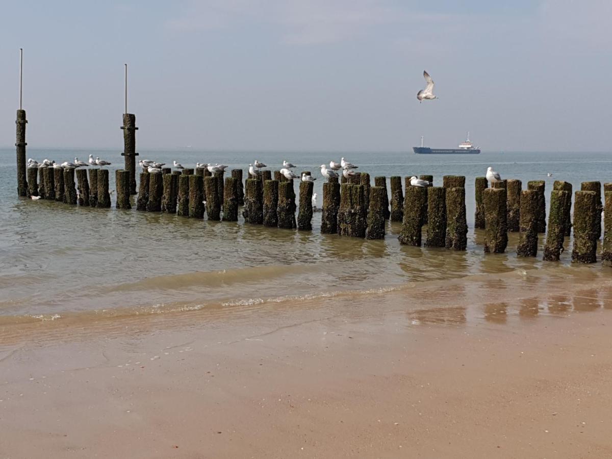 Appartement Havenzicht, Gelegen Aan Zee Met Zeezicht فليسينْخين المظهر الخارجي الصورة