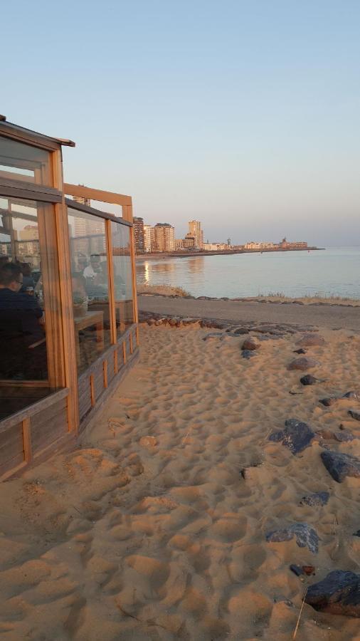 Appartement Havenzicht, Gelegen Aan Zee Met Zeezicht فليسينْخين المظهر الخارجي الصورة